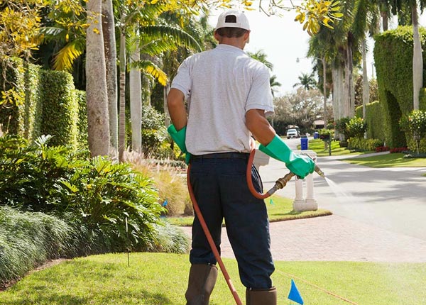 About Pleasant Lake MI Pest Control